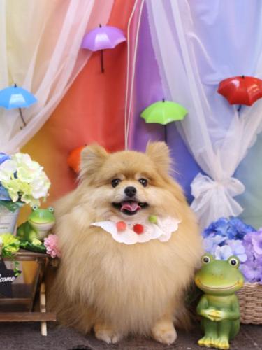 20230602梛都ちゃん